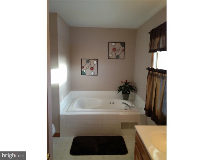 871 East Pebworth Road Magnolia, DE 19962 - Photo 14 of 25 Master Bathroom