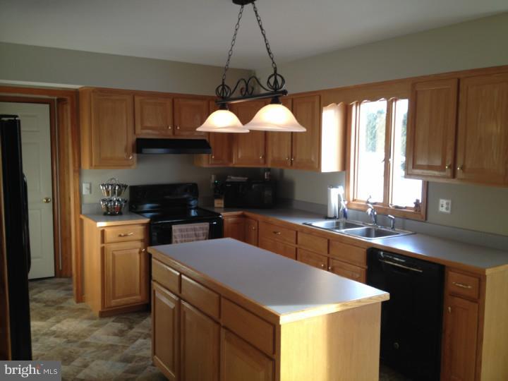 871 East Pebworth Road Magnolia, DE 19962 - Photo 4 of 25 Kitchen