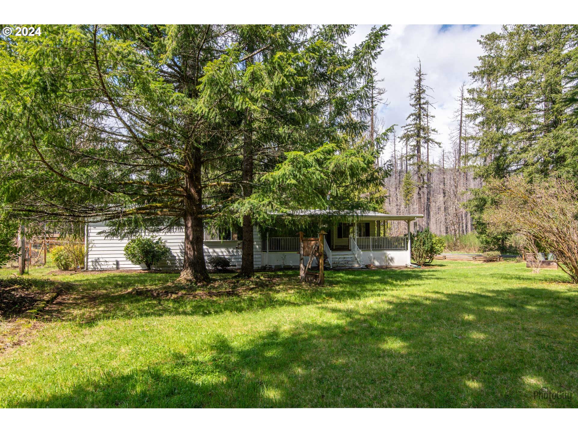 91542 Dearborn Island Road Blue River, OR 97413 - Photo 35 of 44 Gallery Image 35