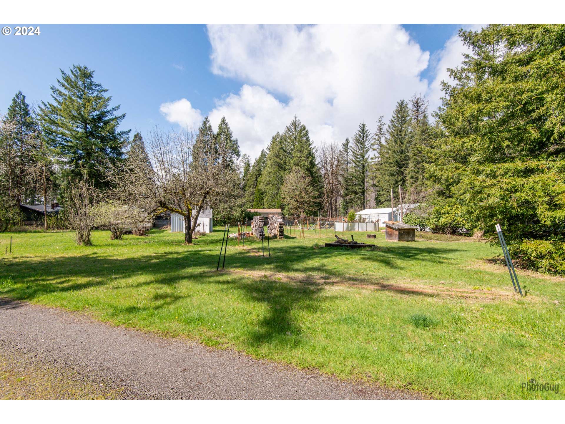 91542 Dearborn Island Road Blue River, OR 97413 - Photo 7 of 44 Gallery Image 7