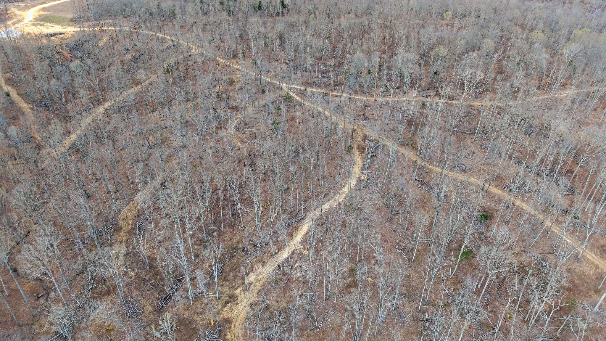 4 Oak Rdg Road Vanleer, TN 37181 - Photo 11 of 14