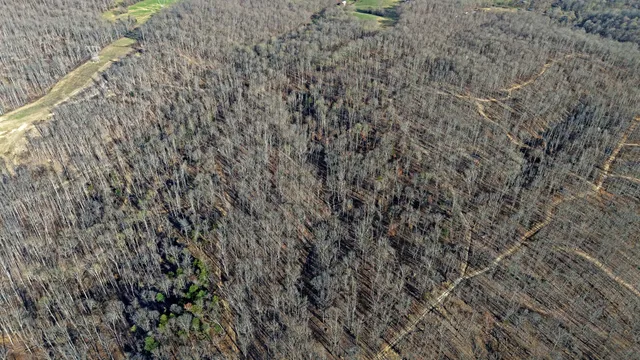 $889,000 | 4 Oak Rdg Road, Vanleer, TN 37181