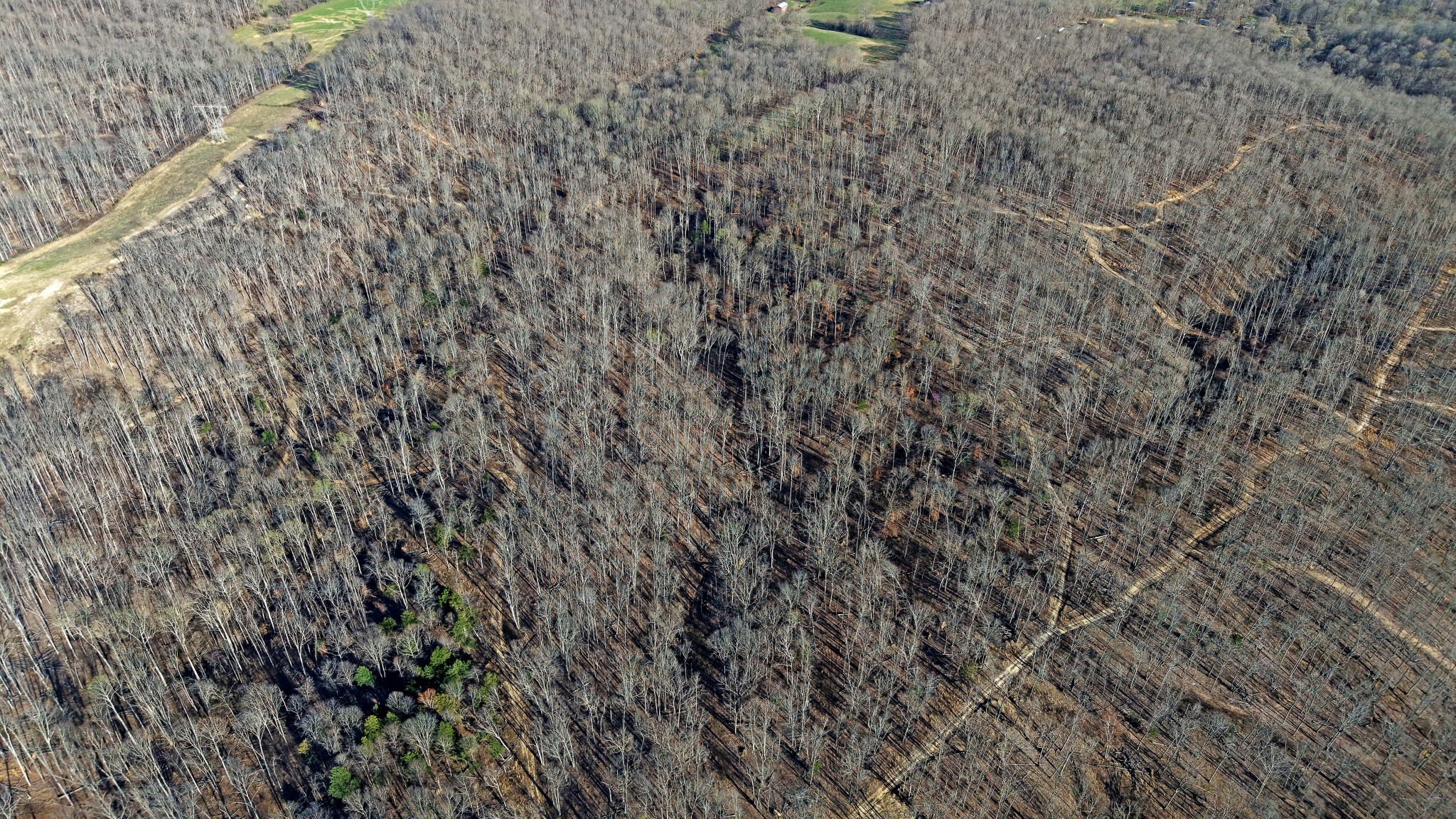 4 Oak Rdg Road Vanleer, TN 37181 - Photo 3 of 14