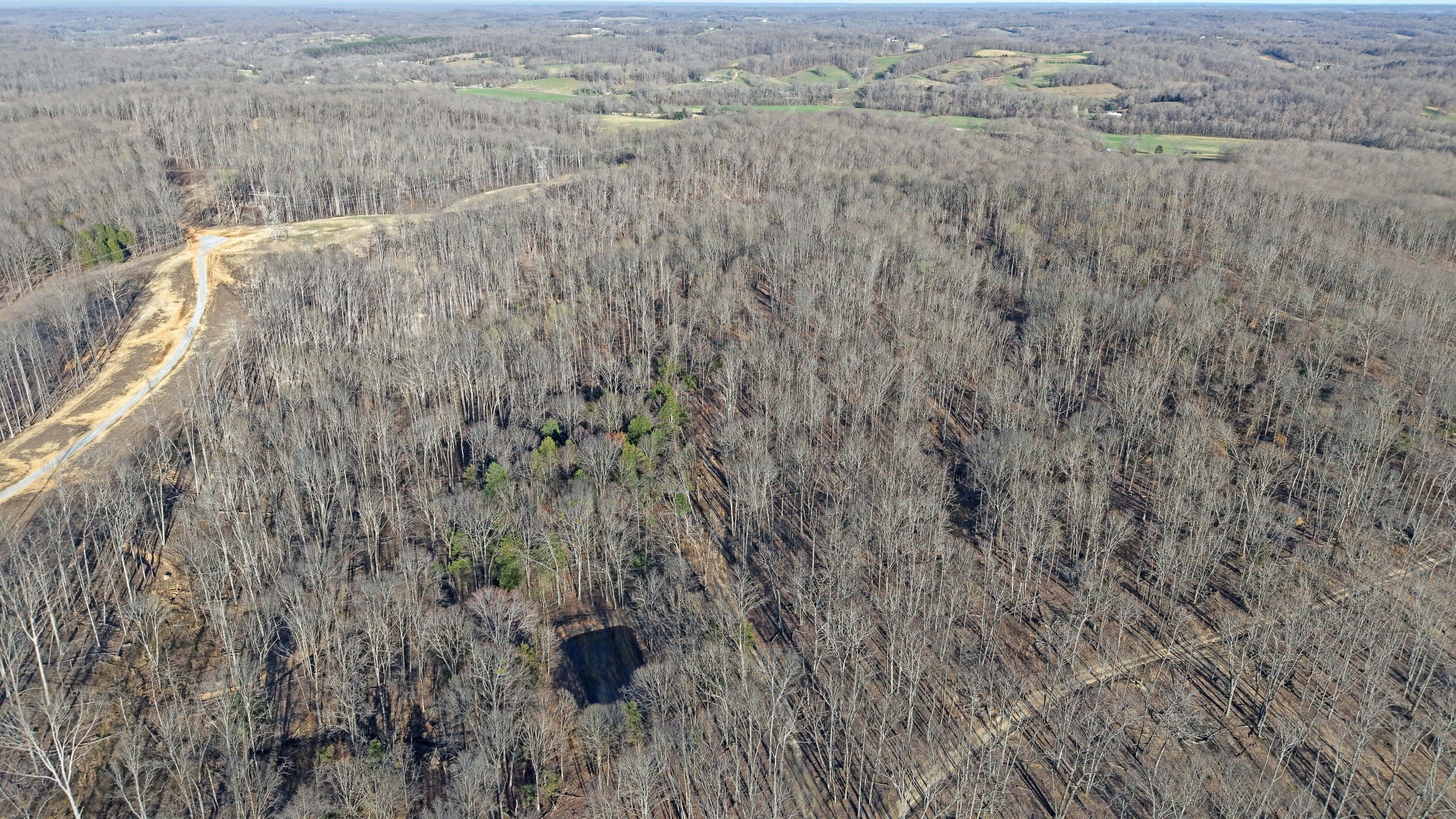 4 Oak Rdg Road Vanleer, TN 37181 - Photo 4 of 14