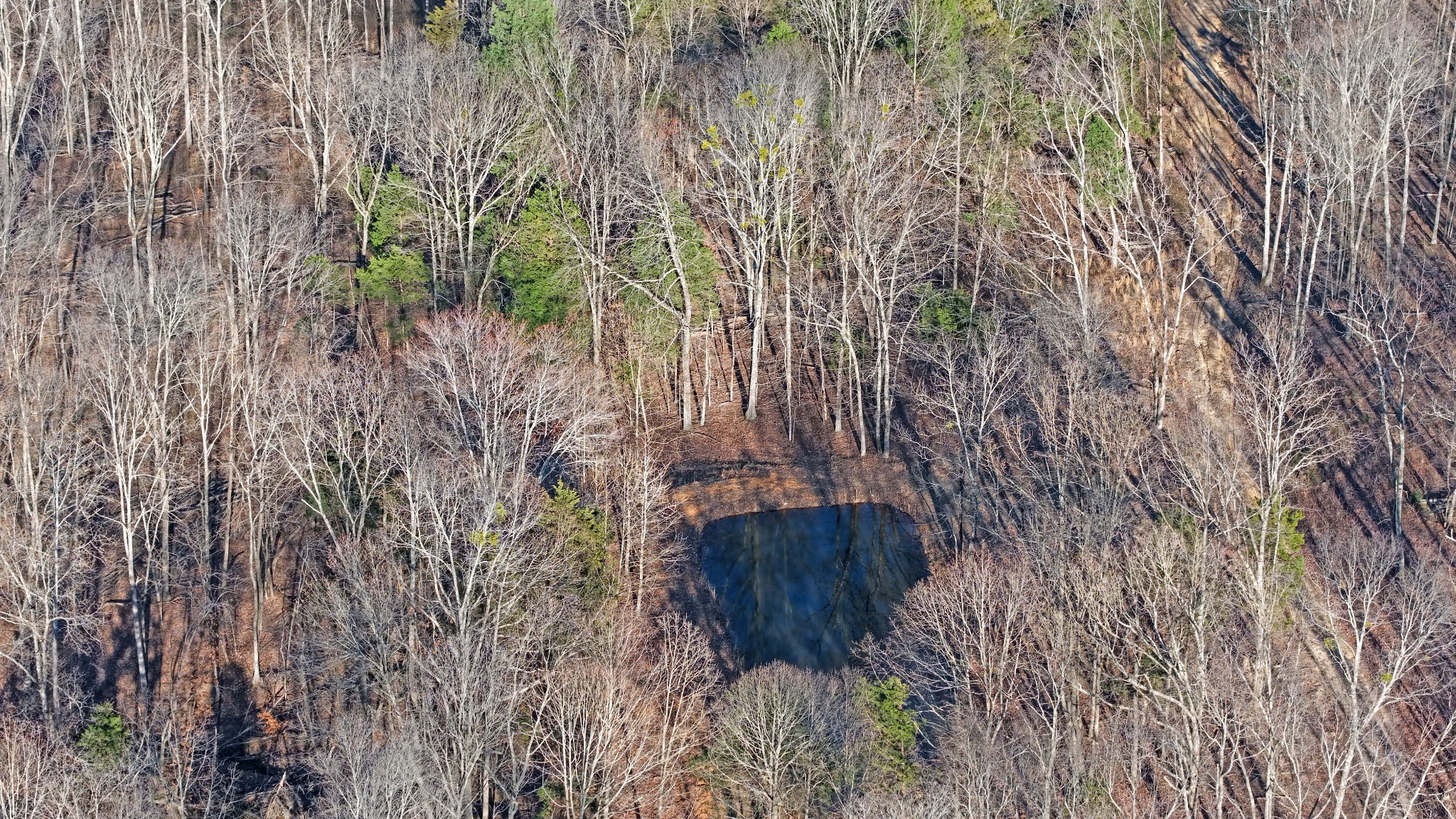 4 Oak Rdg Road Vanleer, TN 37181 - Photo 5 of 14