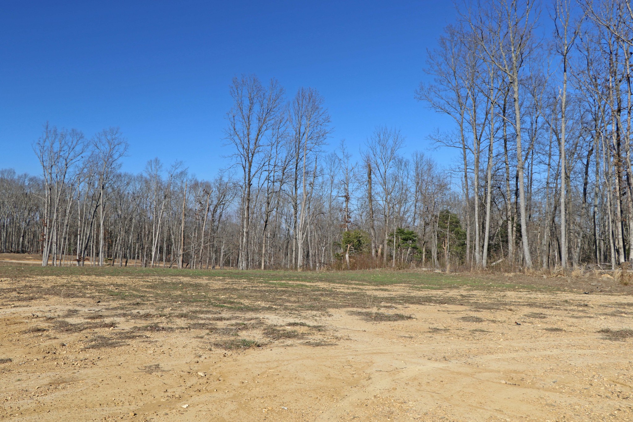 4 Oak Rdg Road Vanleer, TN 37181 - Photo 6 of 14