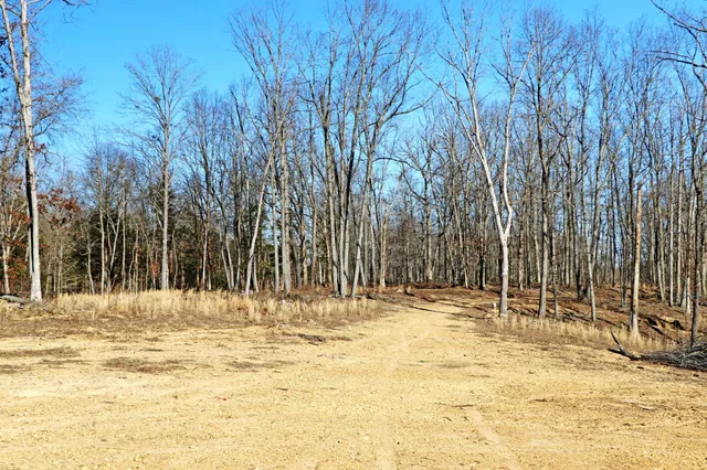 $889,000 | 4 Oak Rdg Road, Vanleer, TN 37181