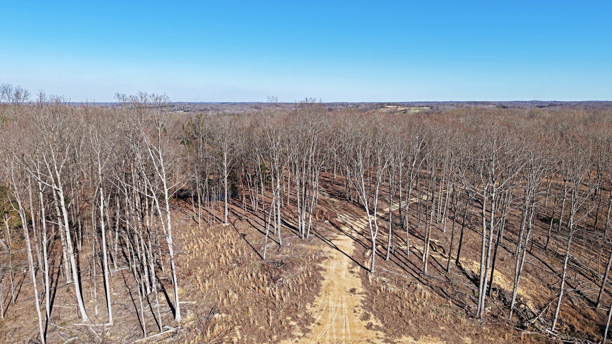 4 Oak Rdg Road Vanleer, TN 37181 - Photo 8 of 14