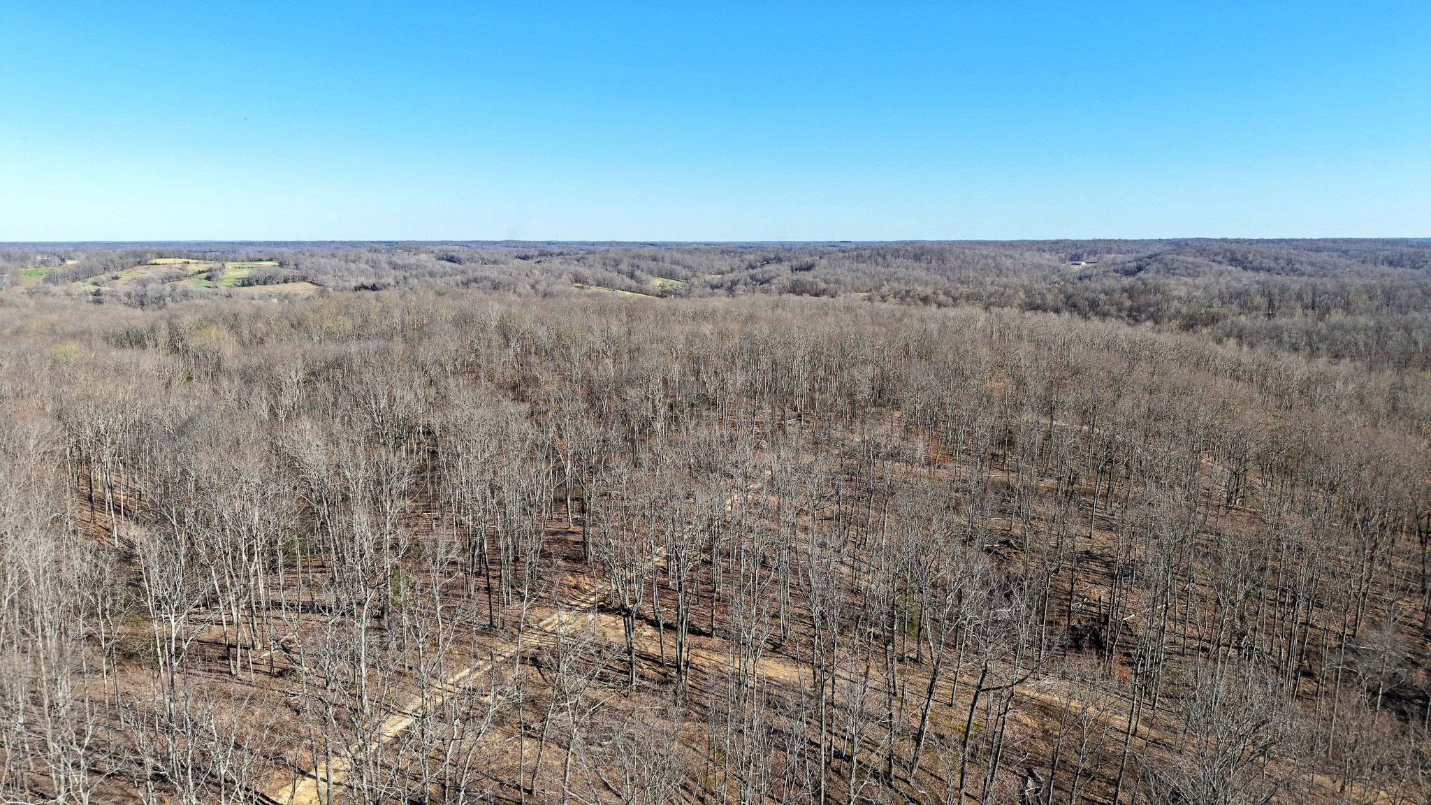 4 Oak Rdg Road Vanleer, TN 37181 - Photo 9 of 14