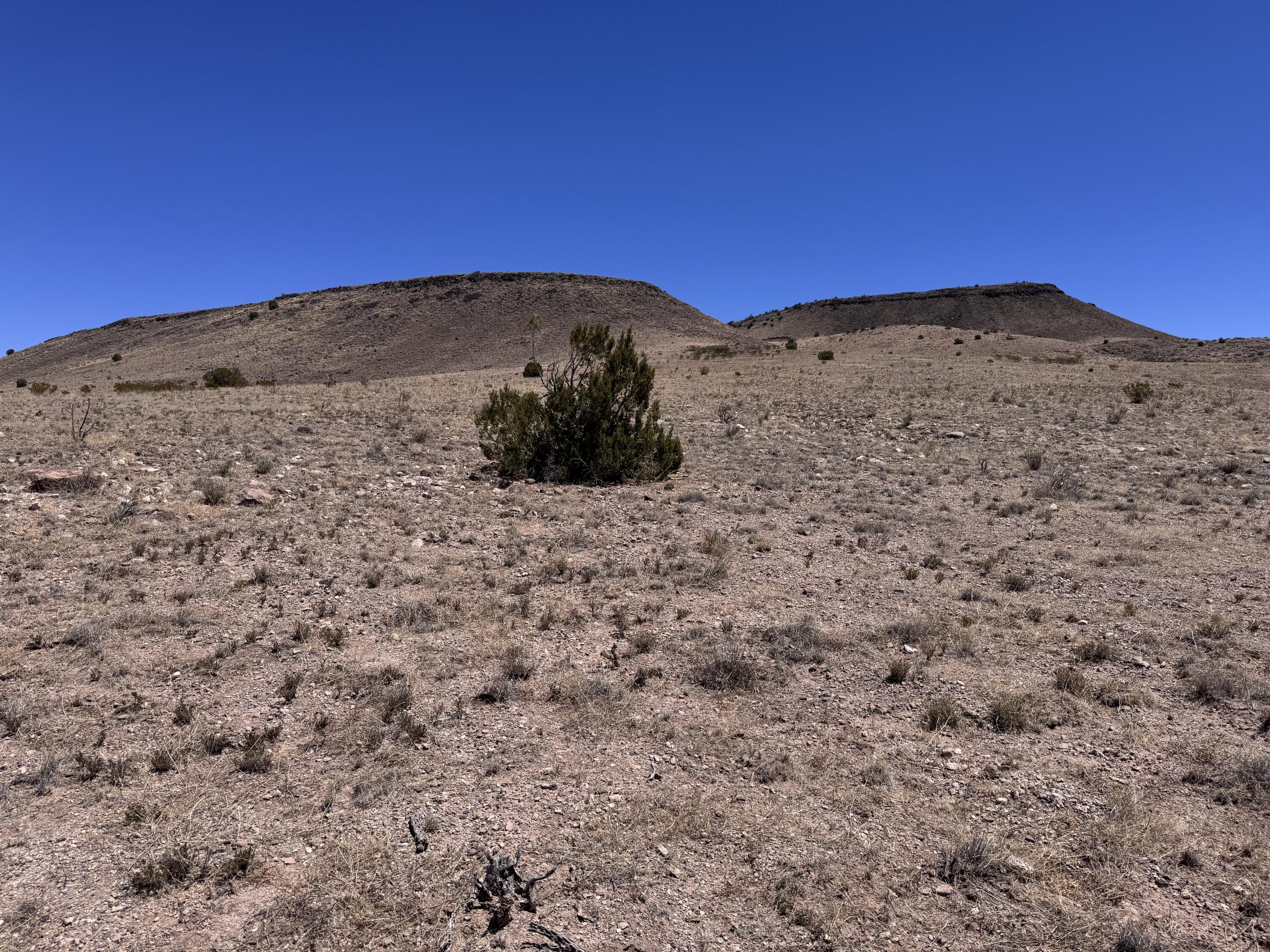 663 Willow Springs Ranch Road Socorro, NM 87801 - Photo 17 of 26 Gallery Image 17