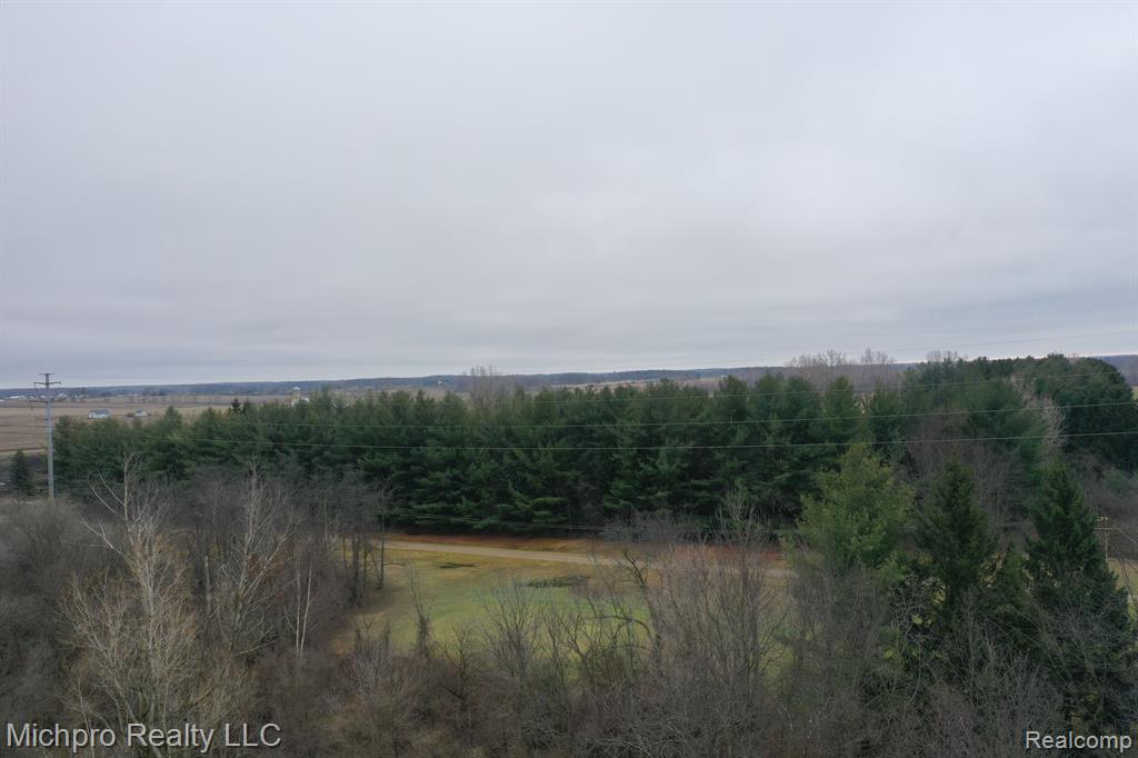 1185 Sisson Road Imlay City, MI 48444 - Photo 62 of 69