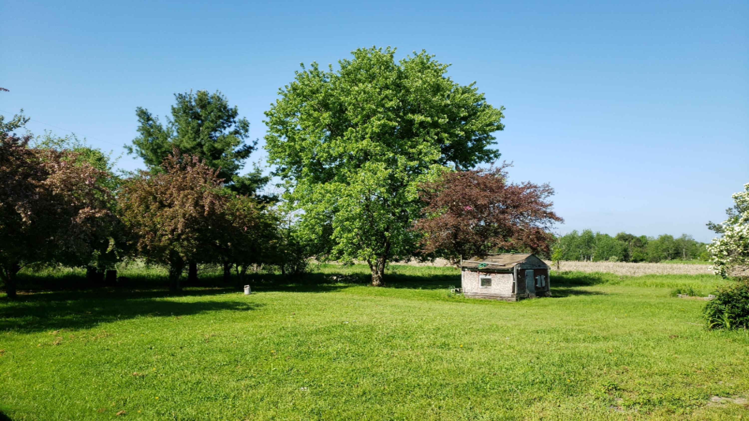 8779 Kerry Road Manistee, MI 49660 - Photo 2 of 30 2019-06-06 09.41.36