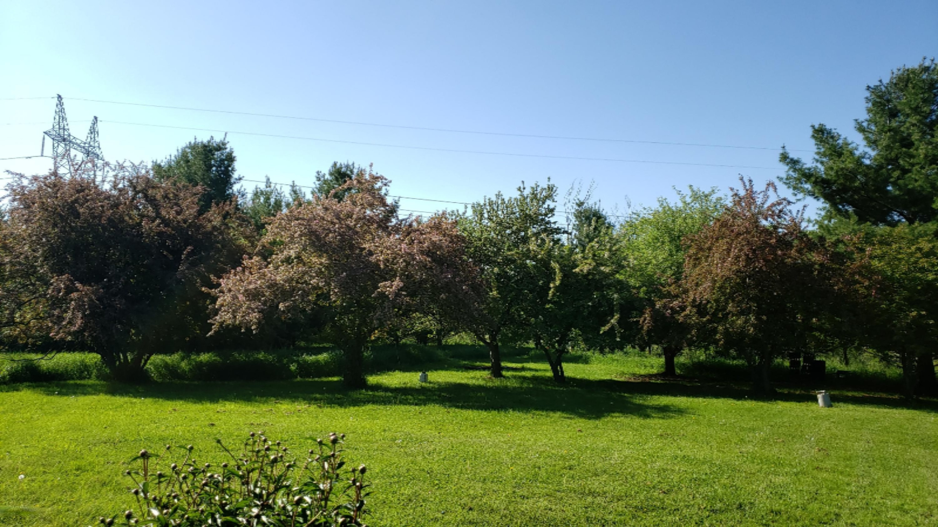 8779 Kerry Road Manistee, MI 49660 - Photo 25 of 30 2019-06-06 09.43.42