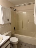 176 Maple Avenue, Unit 3 25 Rutland, MA 01543 - Photo 13 of 16 a bathroom with a shower and a toilet