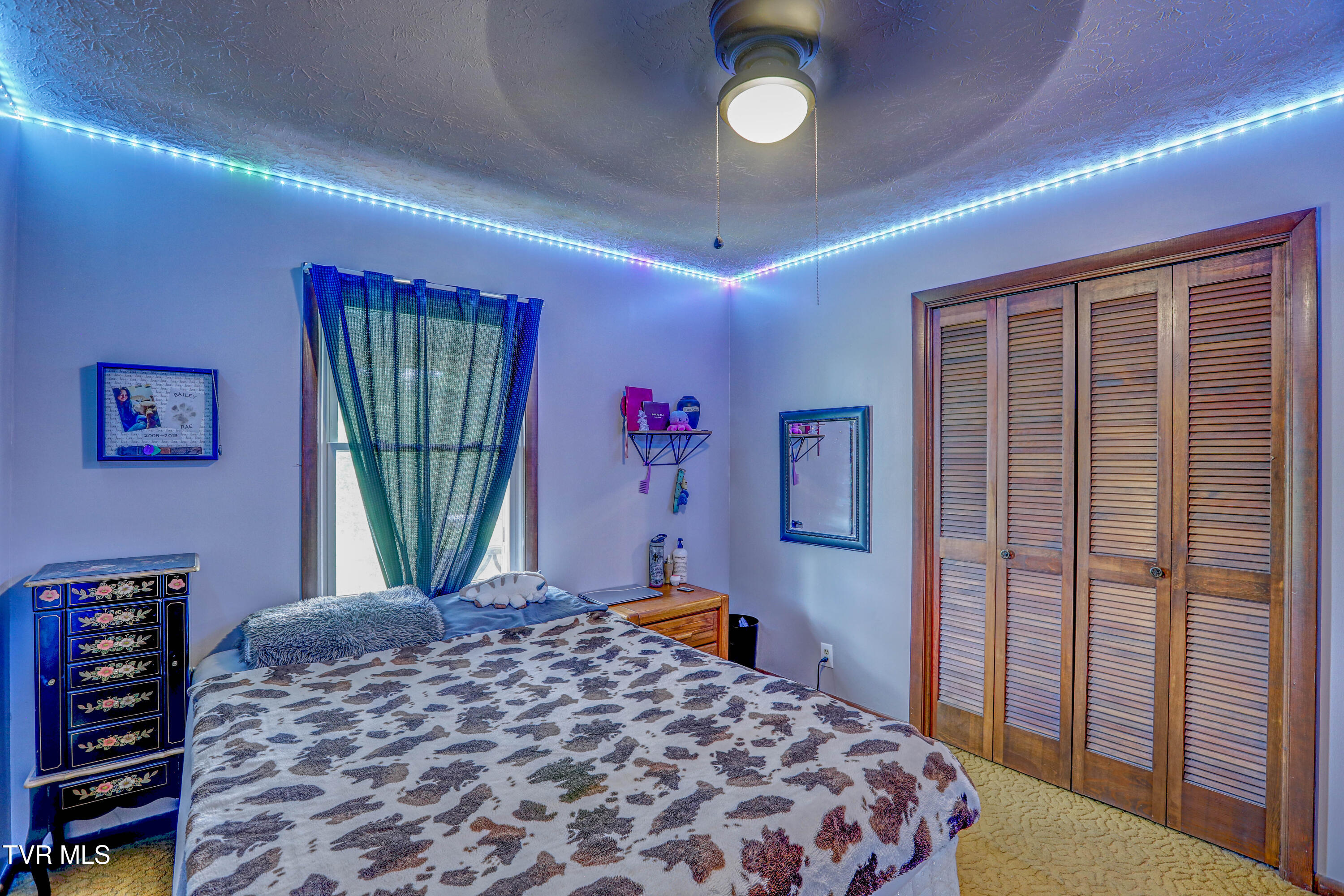 135 Abc Road Limestone, TN 37681 - Photo 54 of 118 B42A6955_6_7_8_9