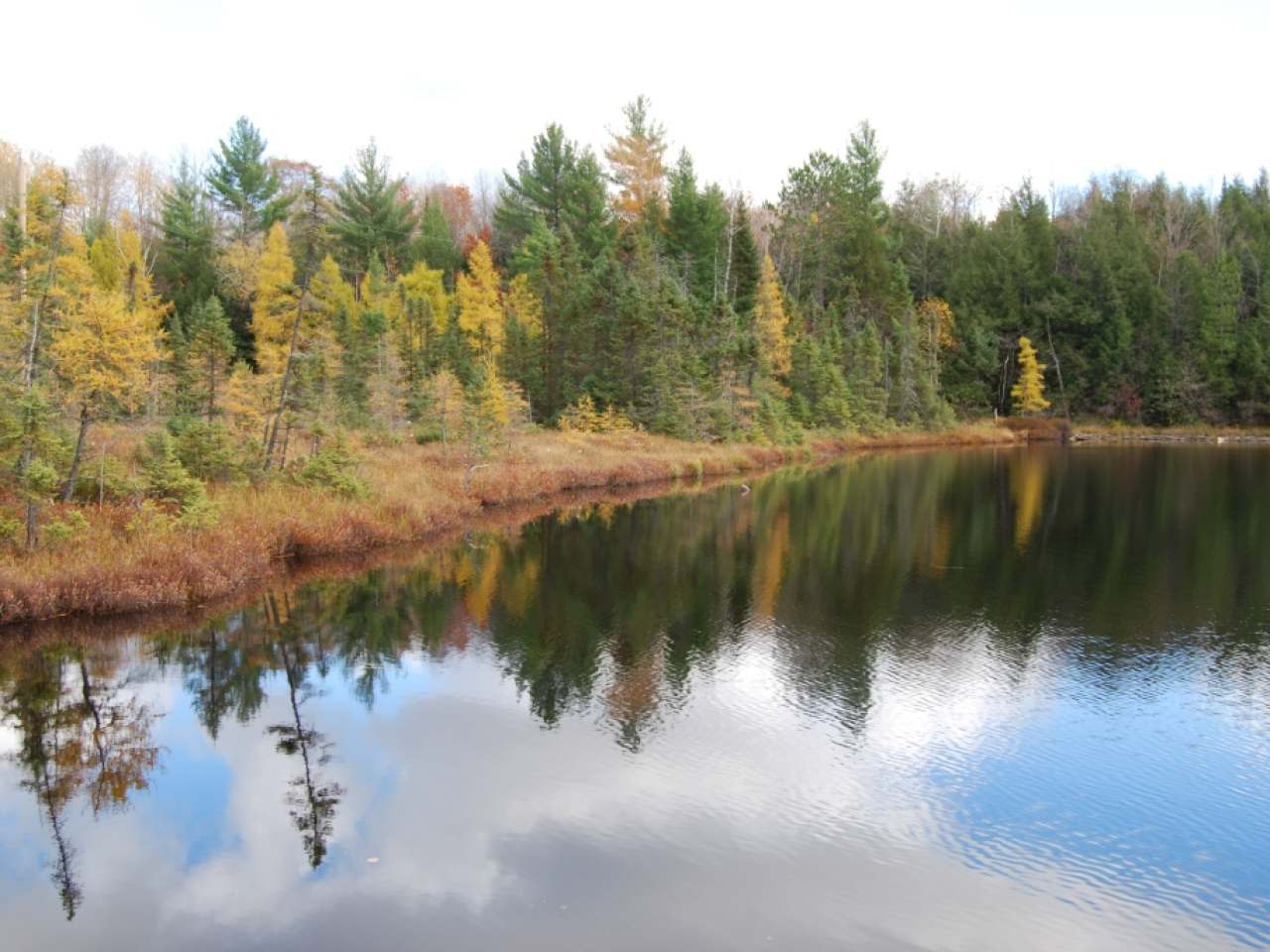 Lot 2 Timber Lodge Road Rhinelander, WI 54501 - Photo 5 of 6 Gallery Image 5