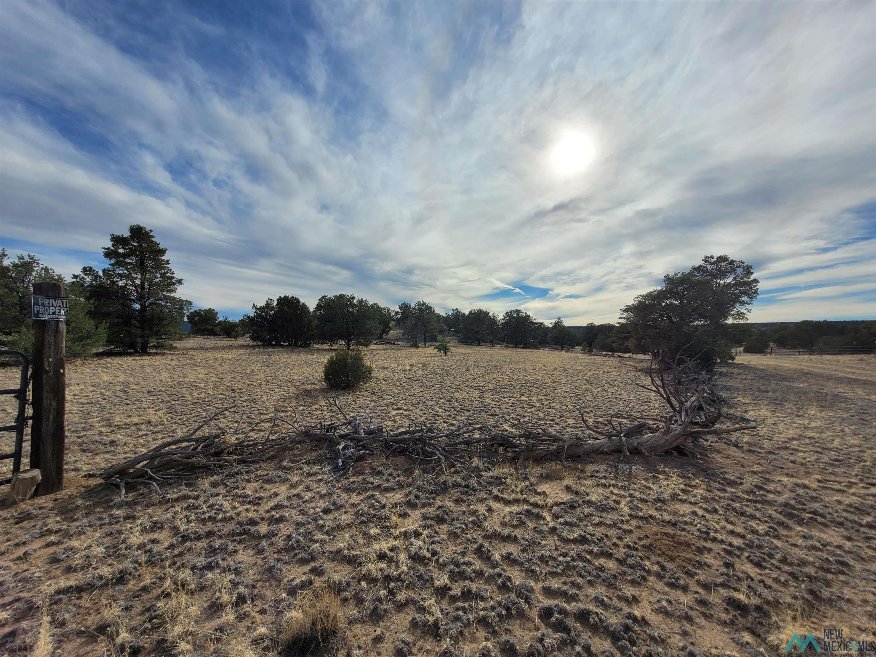 47 Cougar Run Datil, NM 87821 - Photo 7 of 38 Gallery Image 7