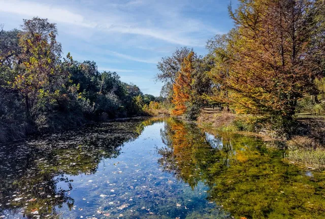 a view of yard with trees