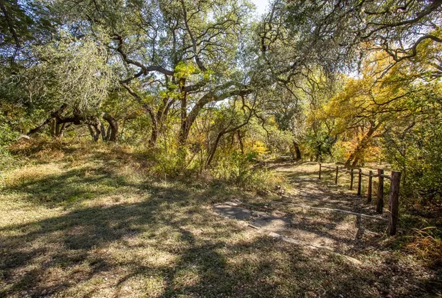 a view of outdoor space with yard and trees