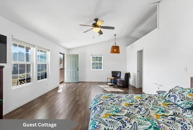 a picture of a tree with a garden