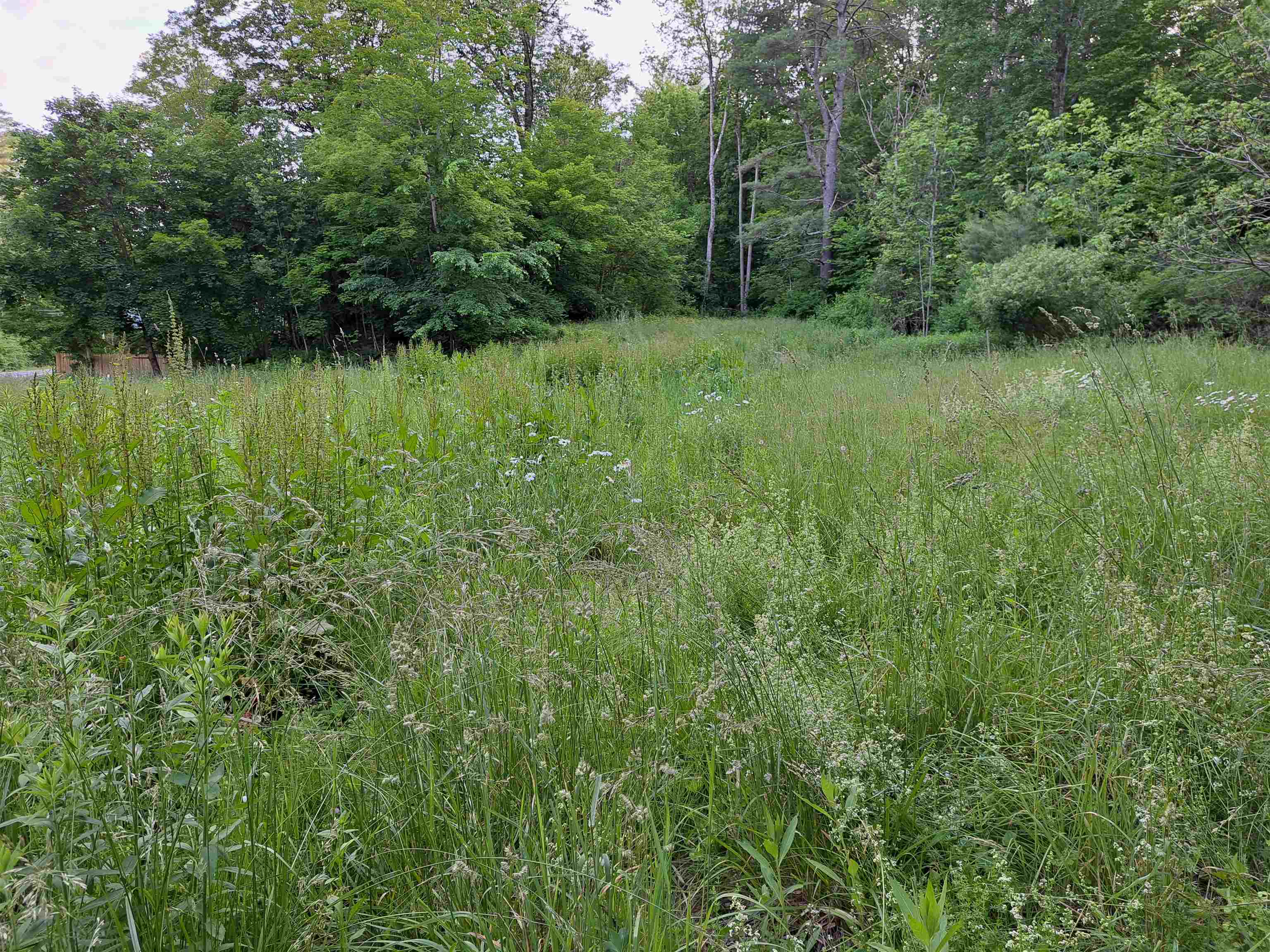 618 Town House Road Cornish, NH 03745 - Photo 1 of 9