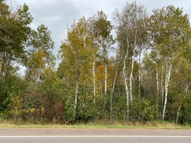$230,000 | 8764 140th Street, Milaca, MN 56353