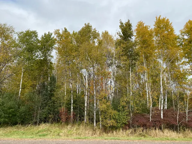 $230,000 | 8764 140th Street, Milaca, MN 56353