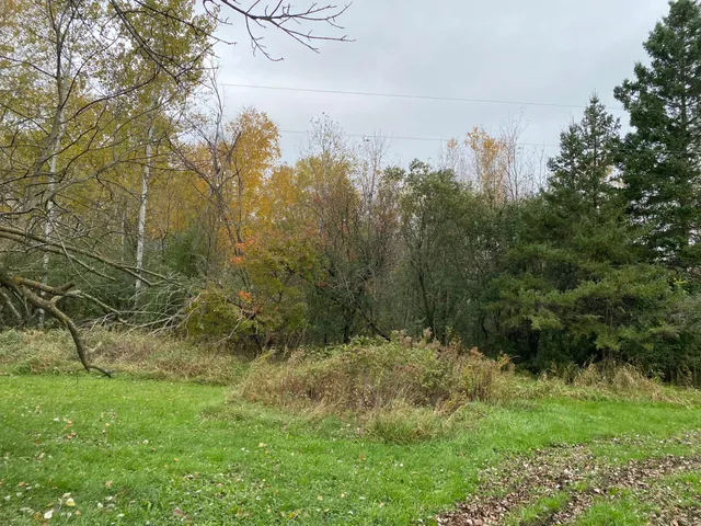 $230,000 | 8764 140th Street, Milaca, MN 56353