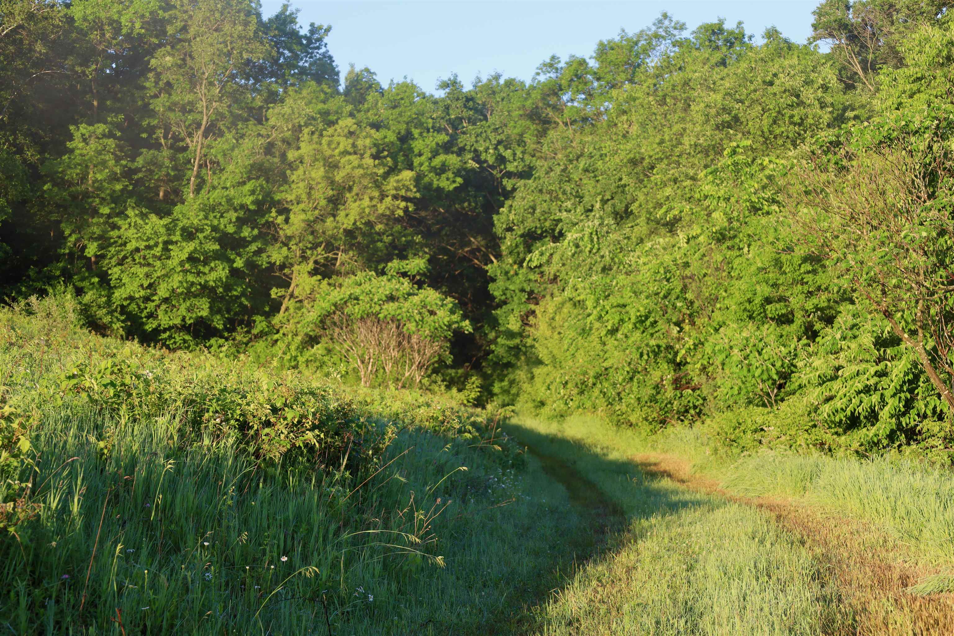 Tbd Wheat Hollow Road Cazenovia, WI 53924 - Photo 34 of 42