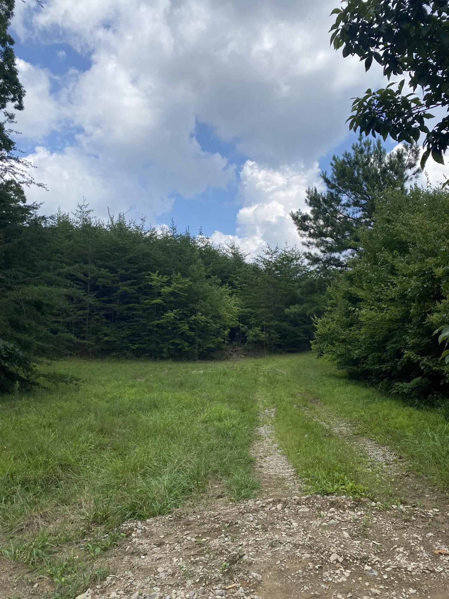 306 Ed Bowling Road, Unit 4 Pikeville, TN 37367 - Photo 2 of 14 Image00001