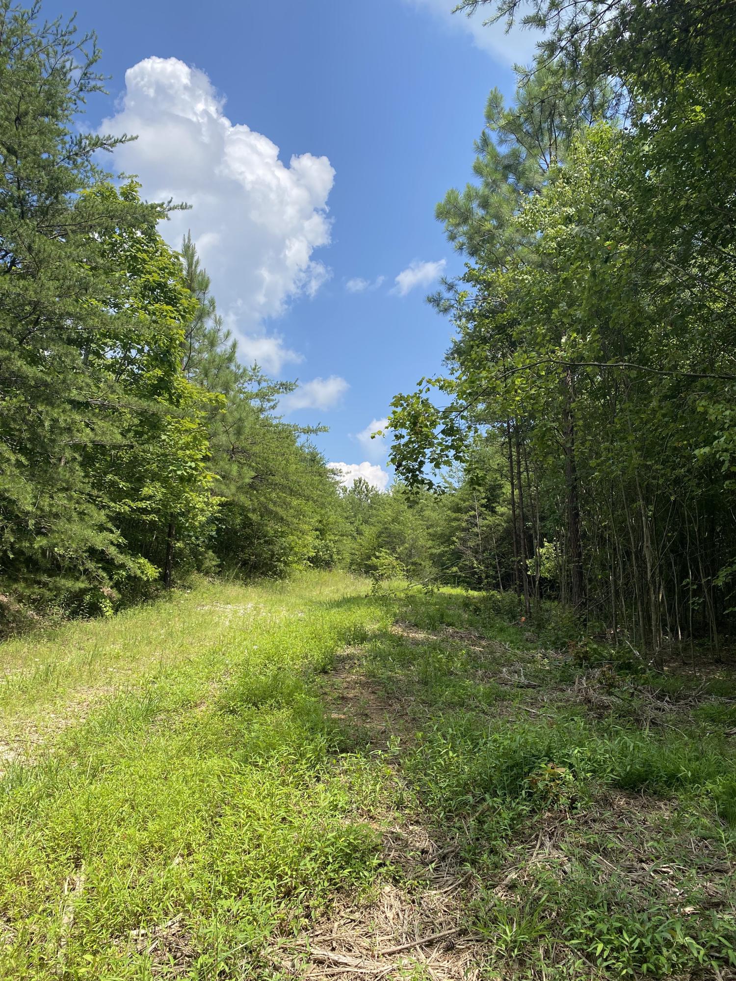 306 Ed Bowling Road, Unit 4 Pikeville, TN 37367 - Photo 13 of 14 Image00013