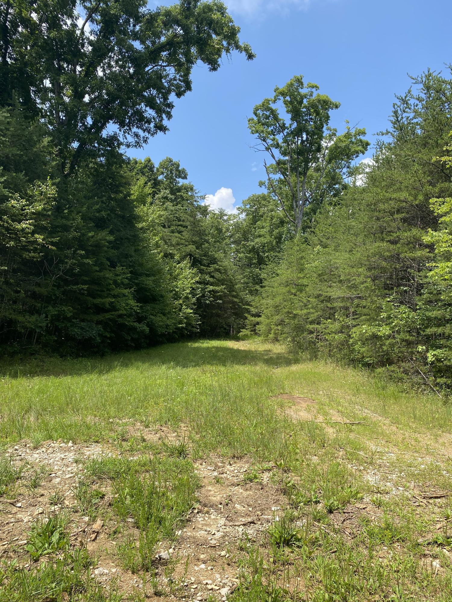 306 Ed Bowling Road, Unit 4 Pikeville, TN 37367 - Photo 14 of 14 Image00014
