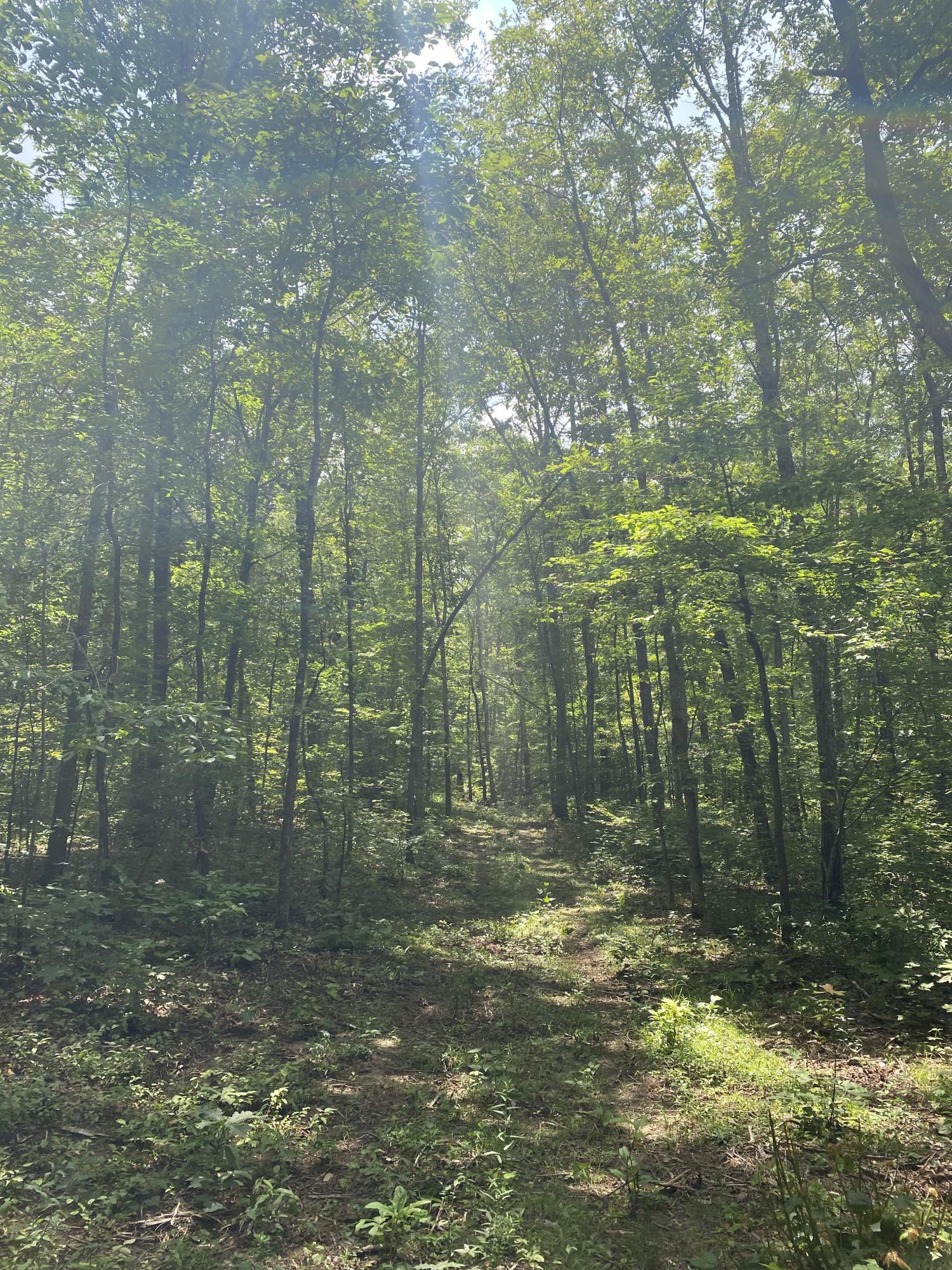 306 Ed Bowling Road, Unit 4 Pikeville, TN 37367 - Photo 10 of 14 Image00010