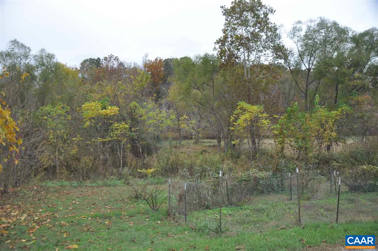 339 Riverside Drive Schuyler, VA 22969 - Photo 4 of 9 Gallery Image 4