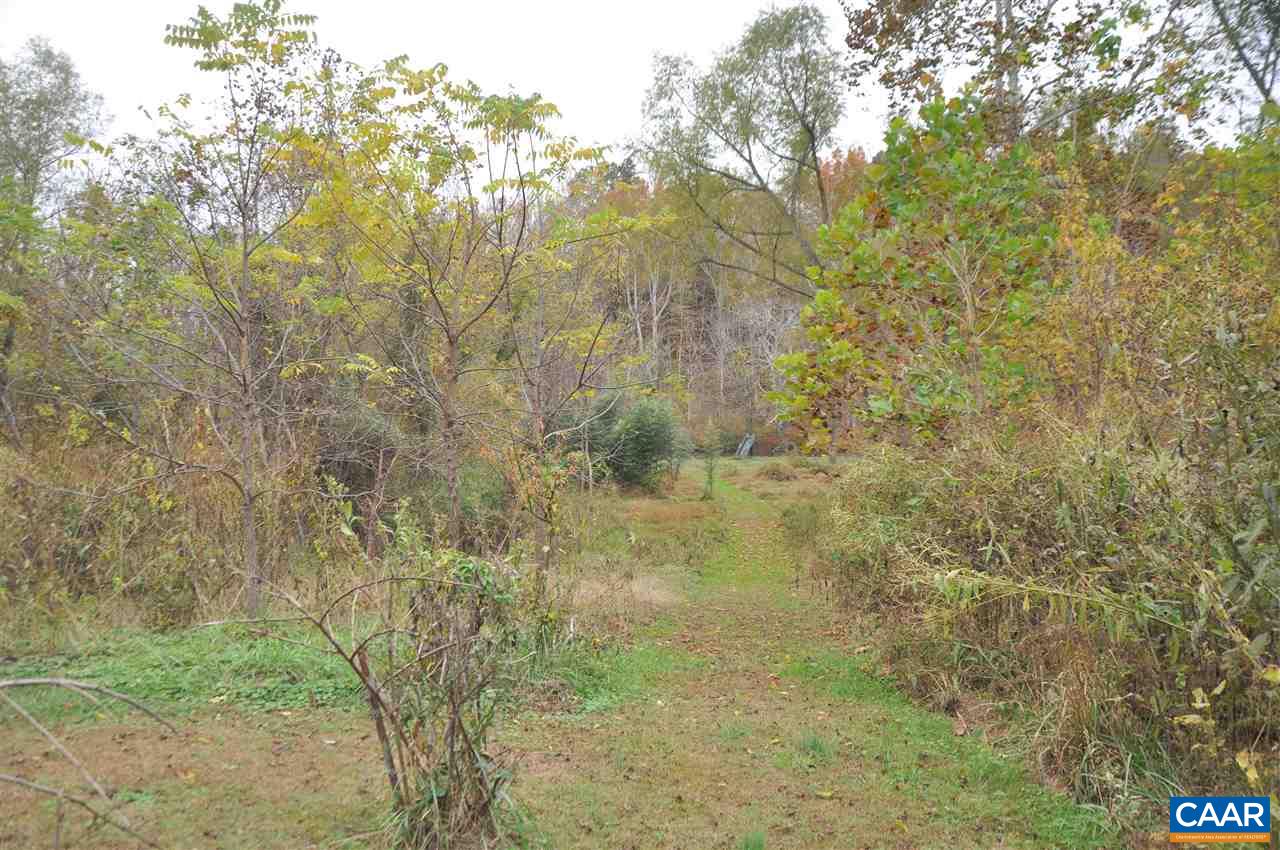 339 Riverside Drive Schuyler, VA 22969 - Photo 6 of 9 Gallery Image 6