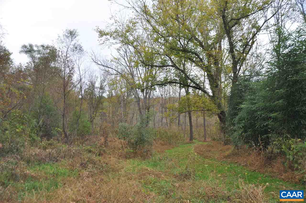 339 Riverside Drive Schuyler, VA 22969 - Photo 7 of 9 Gallery Image 7