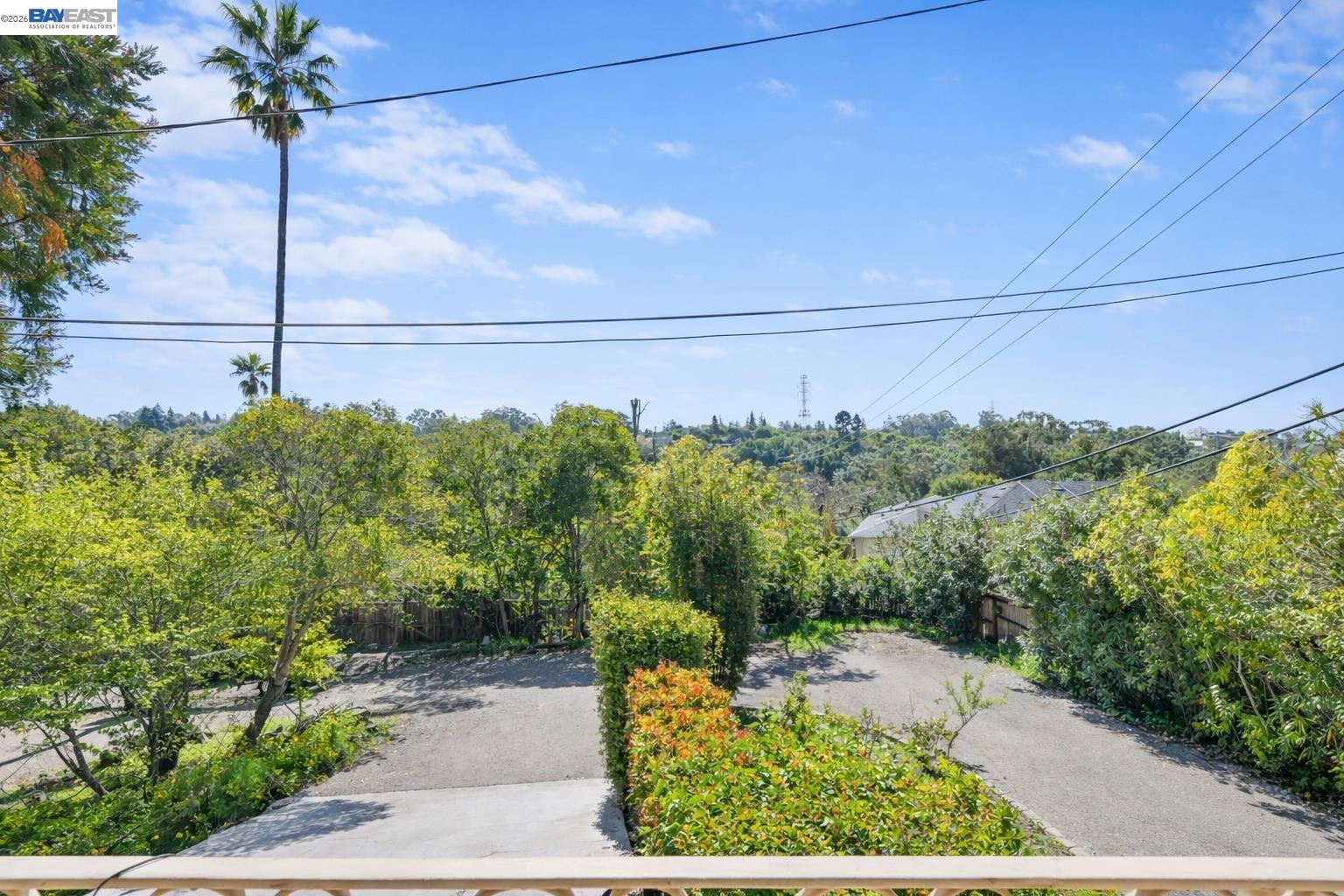 24849 2nd Street Hayward, CA 94541 - Photo 4 of 24 a view of a yard