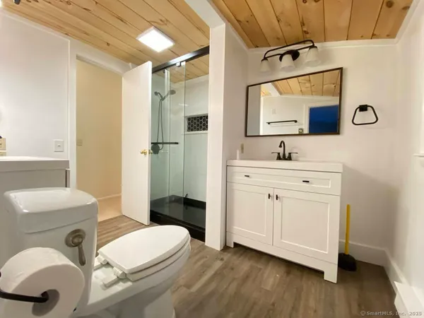 a bathroom with a double vanity sink mirror and toilet