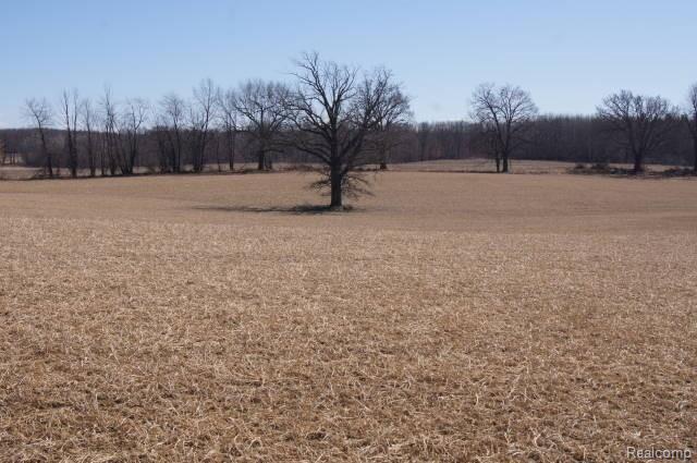 1372 Indian Road Lapeer, MI 48446 - Photo 70 of 74 DSC03077.JPG