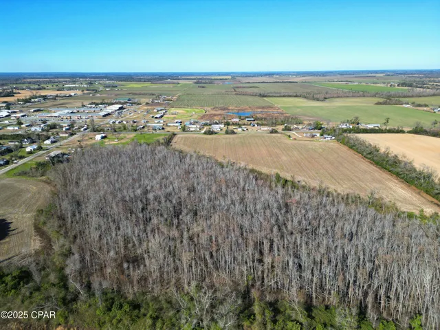 $99,000 | Tbd Tbd Broad, Altha, FL 32421