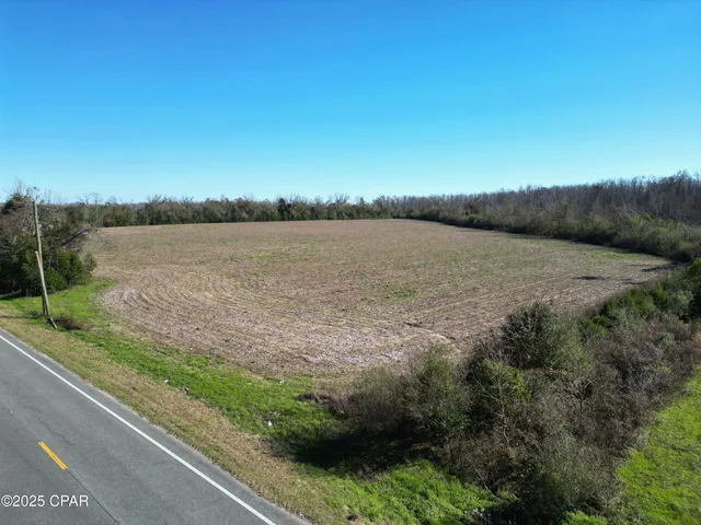 $99,000 | Tbd Tbd Broad, Altha, FL 32421
