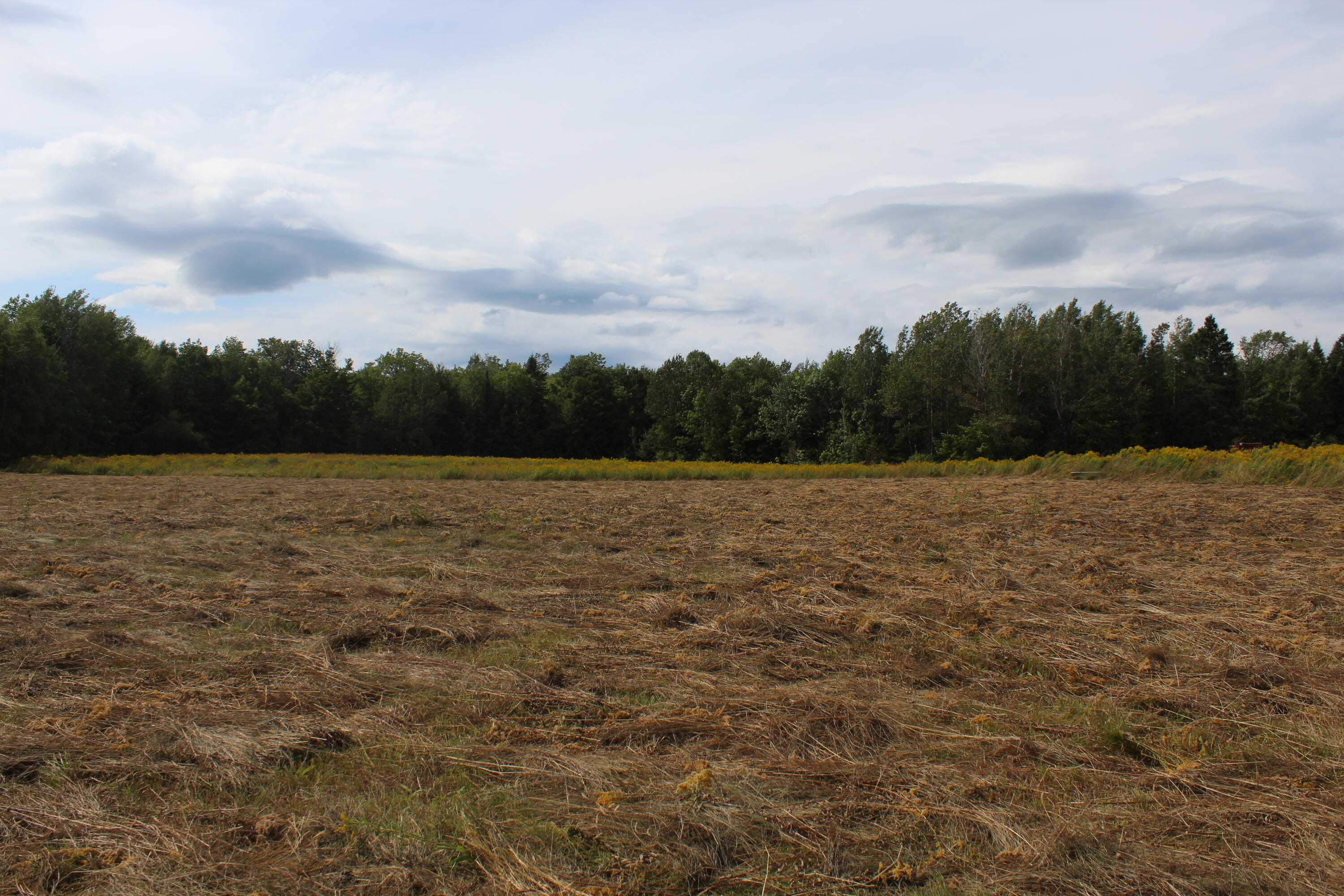 100 Cold Brook Road Sherman, ME 04776 - Photo 3 of 8 IMG_7002