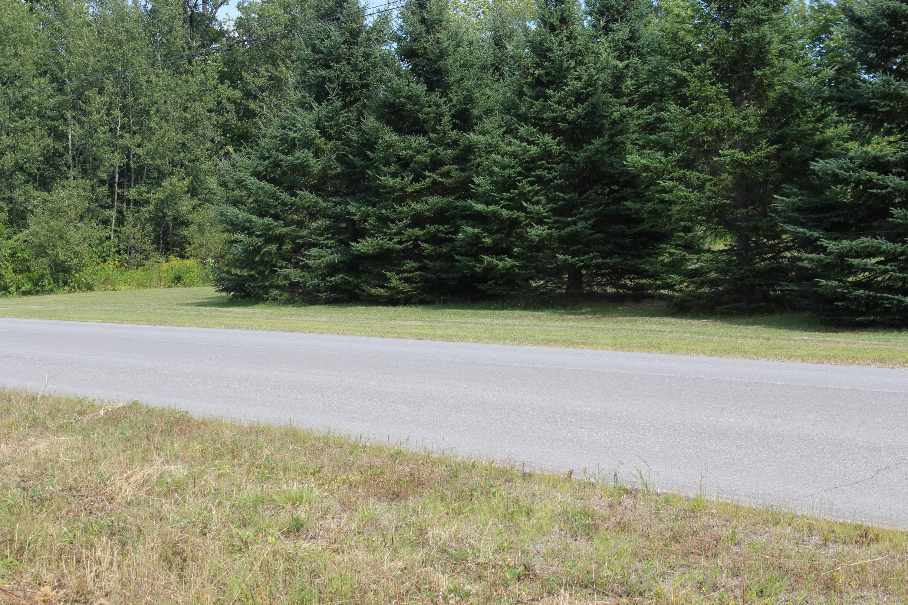 100 Cold Brook Road Sherman, ME 04776 - Photo 6 of 8 IMG_7005