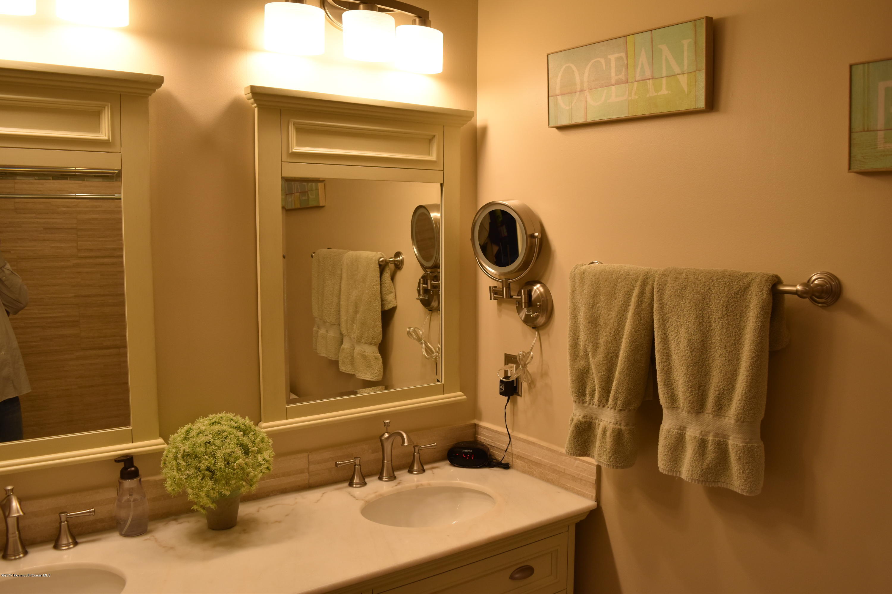 233 East Pleasant Grove Road Jackson, NJ 08527 - Photo 12 of 33 1st fl master bath
