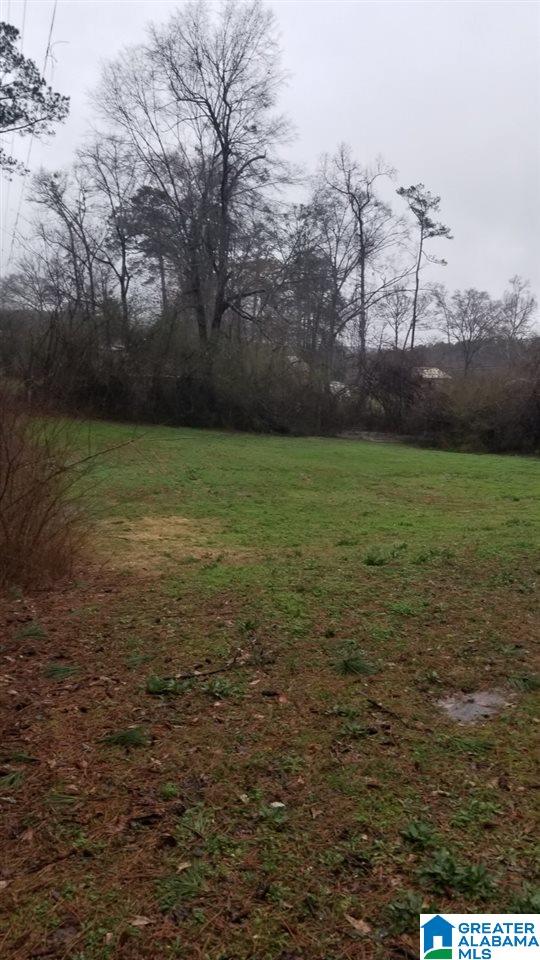 508 Terry Drive Adger, AL 35006 - Photo 10 of 17