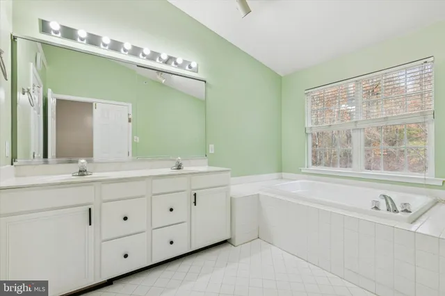 a bathroom with a double vanity sink a large mirror and a bathtub