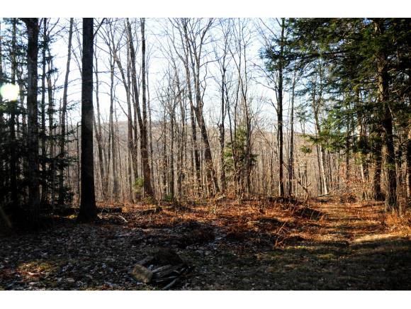 155 Valley View Road West Dover, VT 05356 - Photo 1 of 1