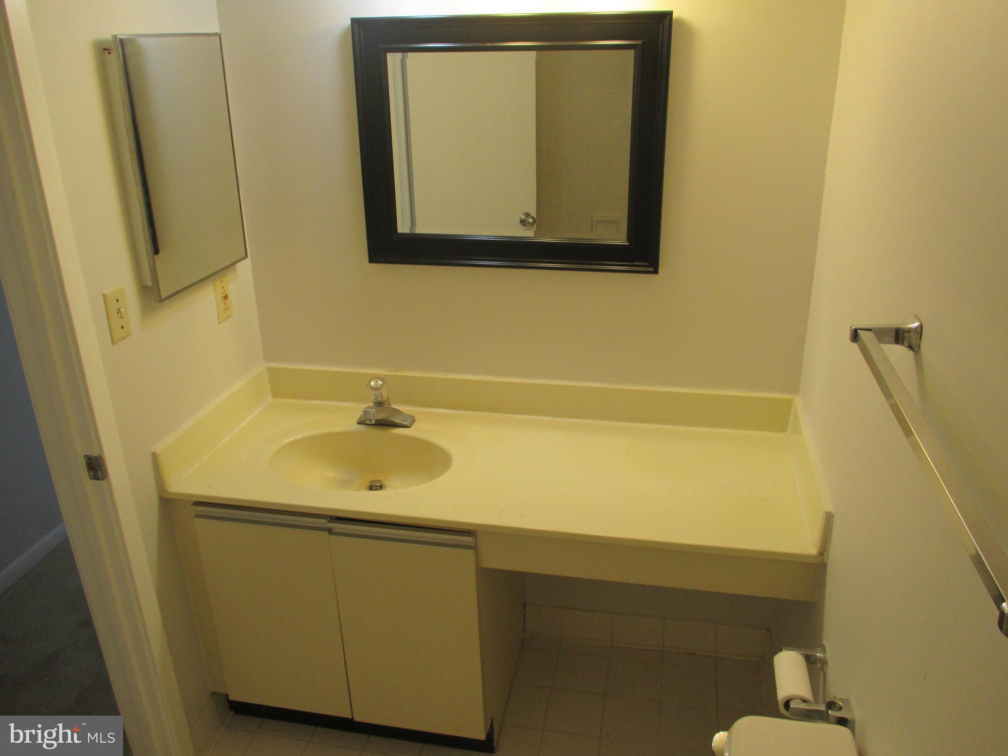 5505 Seminary Road, Unit 2009 Falls Church, VA 22041 - Photo 9 of 13 Bathroom
