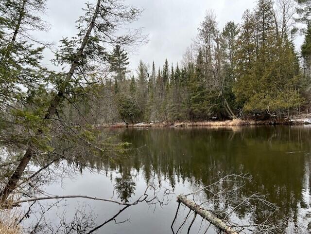 North Ausable Road Mio, MI 48647 - Photo 1 of 16 Gallery Image 1