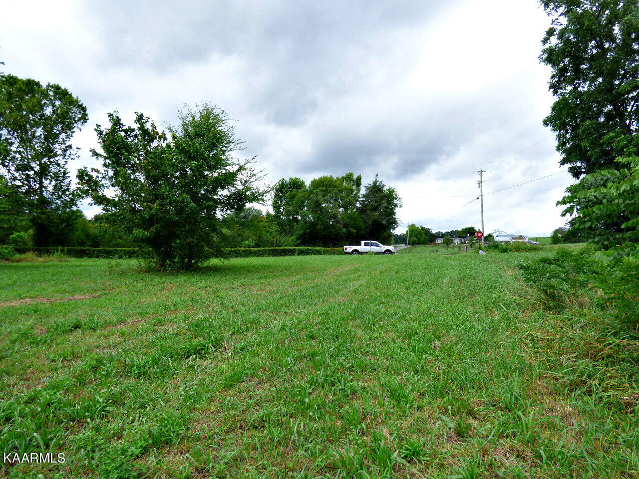 1 Cody Road White Pine, TN 37890 - Photo 4 of 5 P1280214
